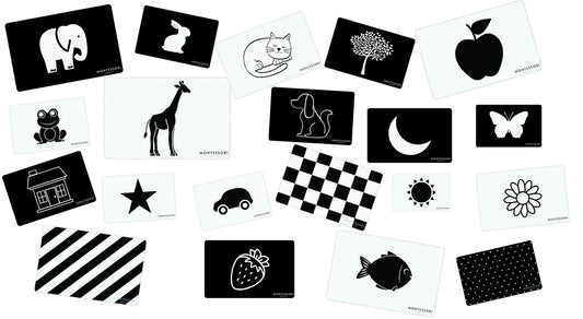 Montessori Cognitive Flash Cards