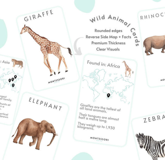Montessori Wild Animal Cards